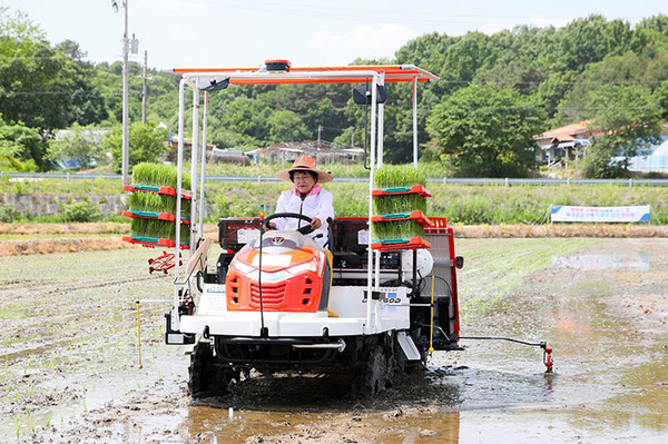 호법 드문 모심기연시회 